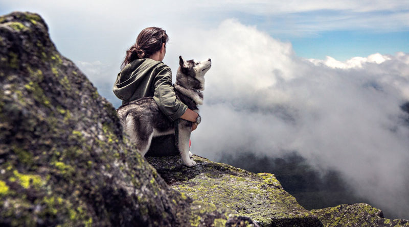 images-28