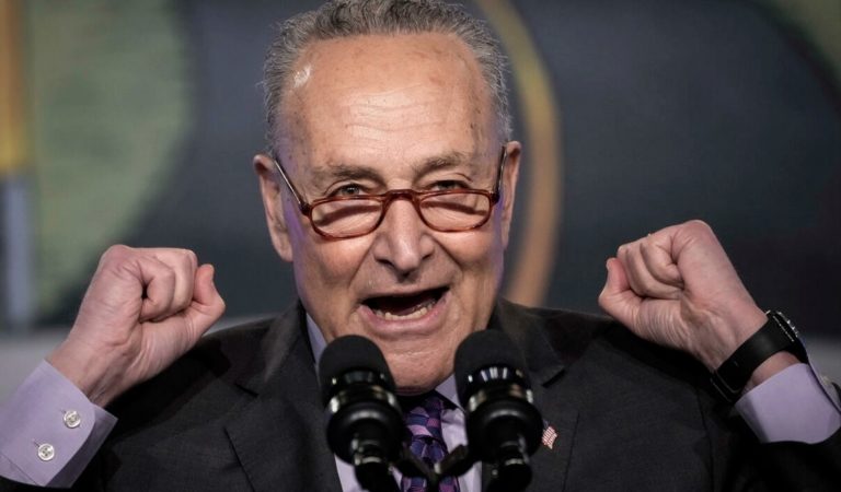 el_lider_de_la_mayoria_del_senado_chuck_schumer_afp