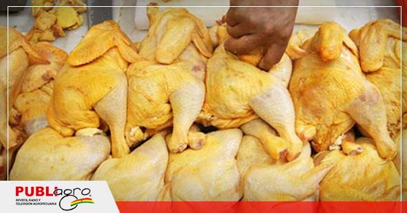 POLLO