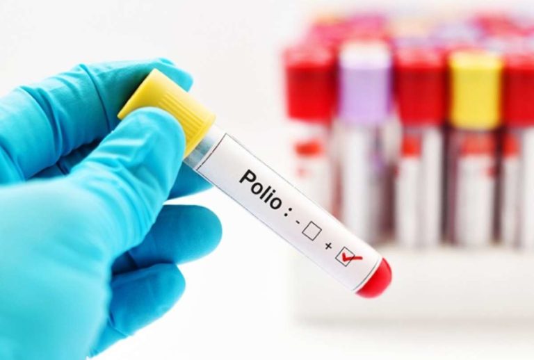 polio_internet