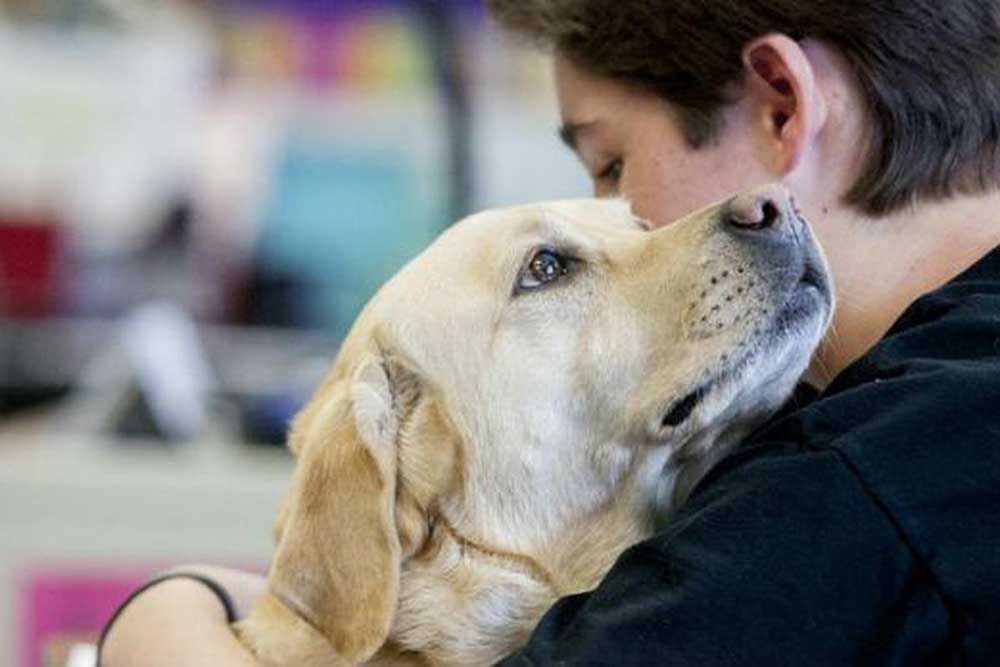 perro-junto-a-una-mujer