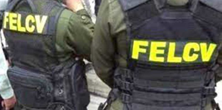 felcv-1