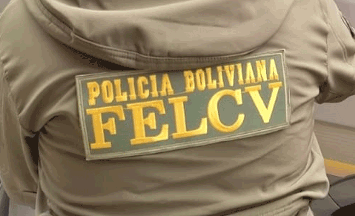 felcv-235_1