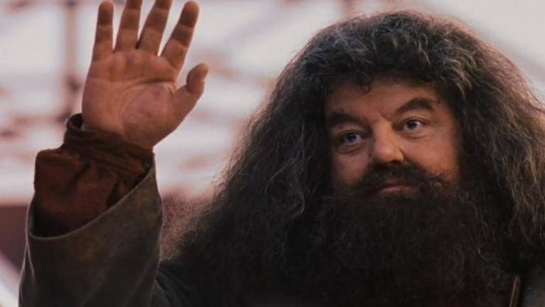 hagrid_21-3433244_20221014173400