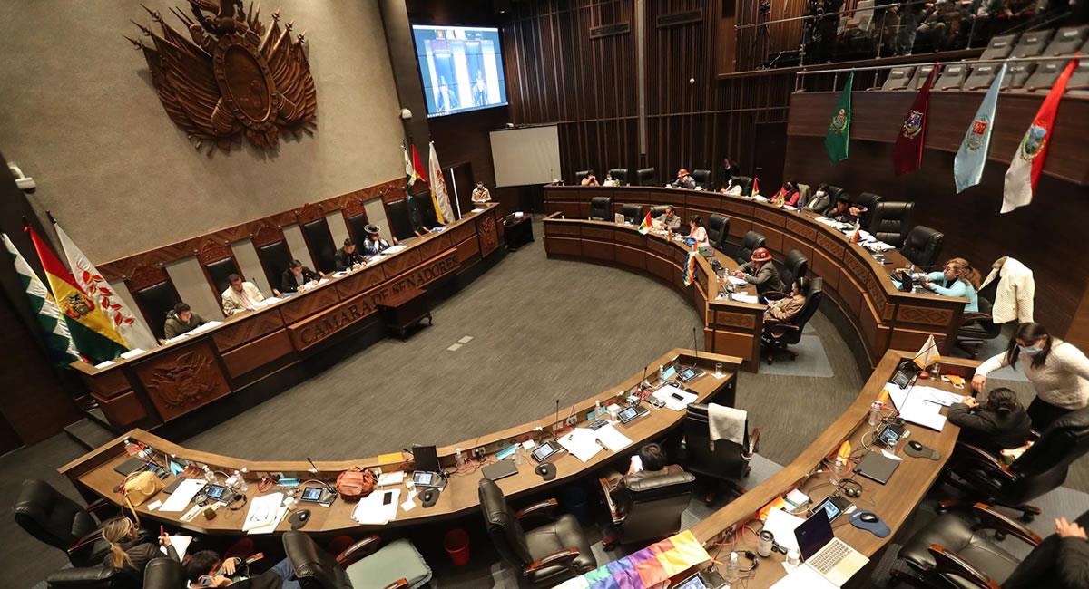 senado-abroga-cuestionada-ley-genera-protestas-bolivia-971194