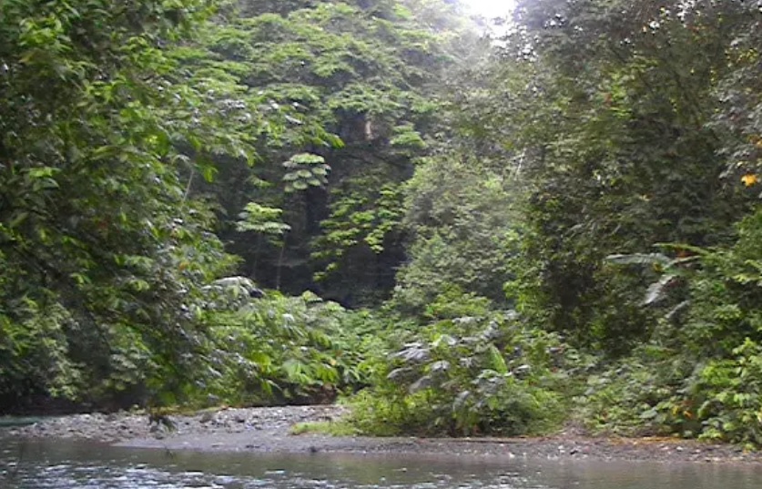 parque_noel