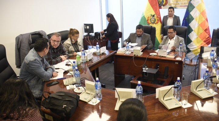 b_25386_comision-aprueba-proyecto-de-ley-para-que-tres-organos-investiguen-los-casos-de-pederastia-en-bolivia-1