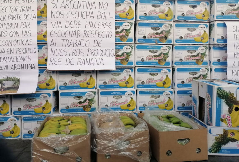 banana-228