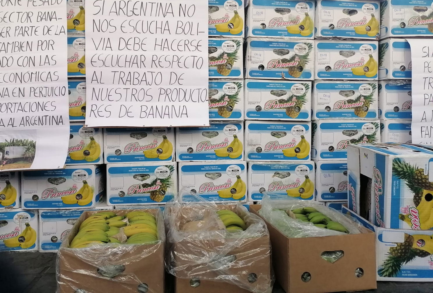 banana-228
