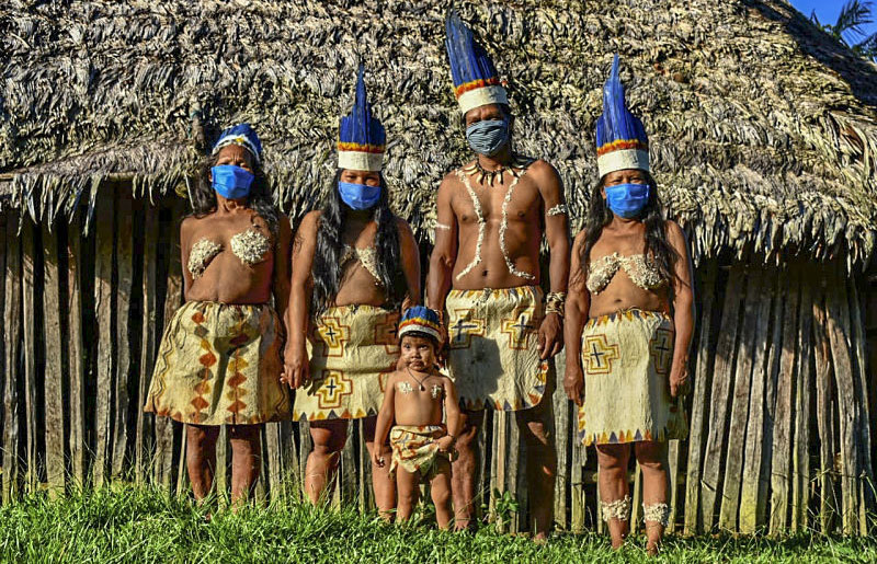 indigenas-brasil