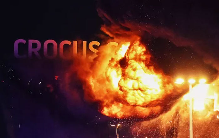 crocus-25