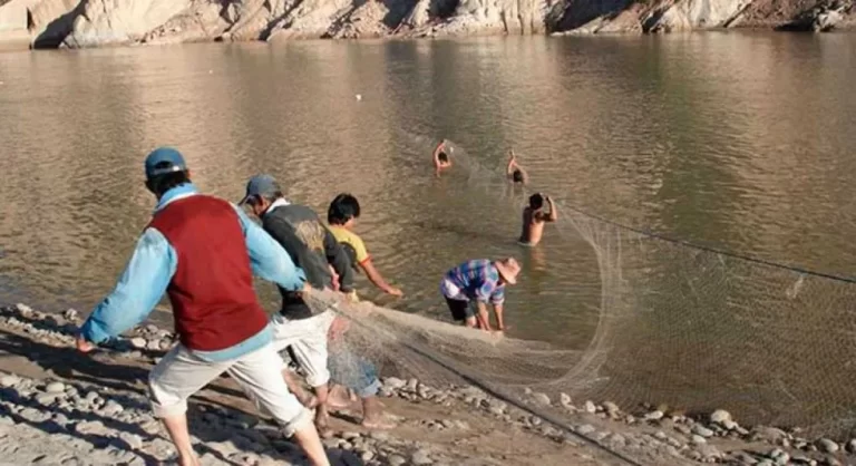 1-Senalan-que-este-ano-se-podria-tener-una-buena-temporada-de-pesca