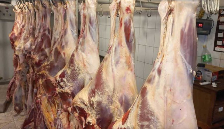 carne-193
