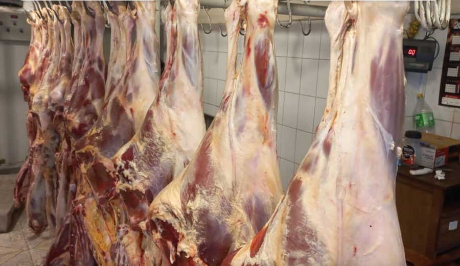 carne-193
