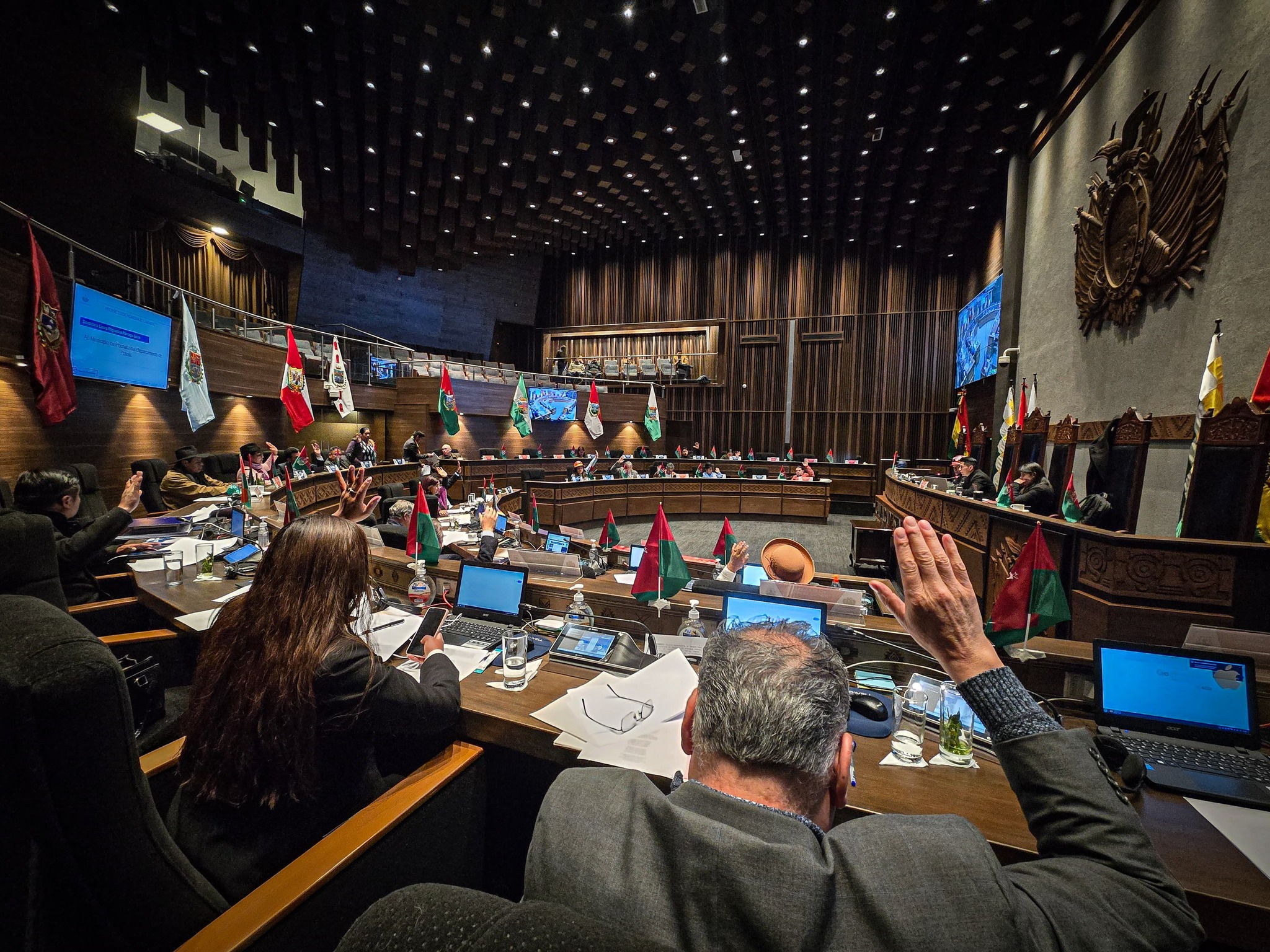 sesion_senado_2