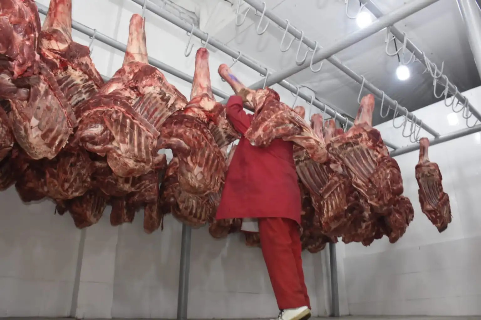 carne-1536x1024